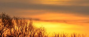 Превью обои небо, рассвет, деревья, ветки, природа