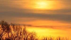 Превью обои небо, рассвет, деревья, ветки, природа