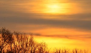 Превью обои небо, рассвет, деревья, ветки, природа