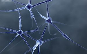 Превью обои нейрон, структура, форма, соединение, клетка