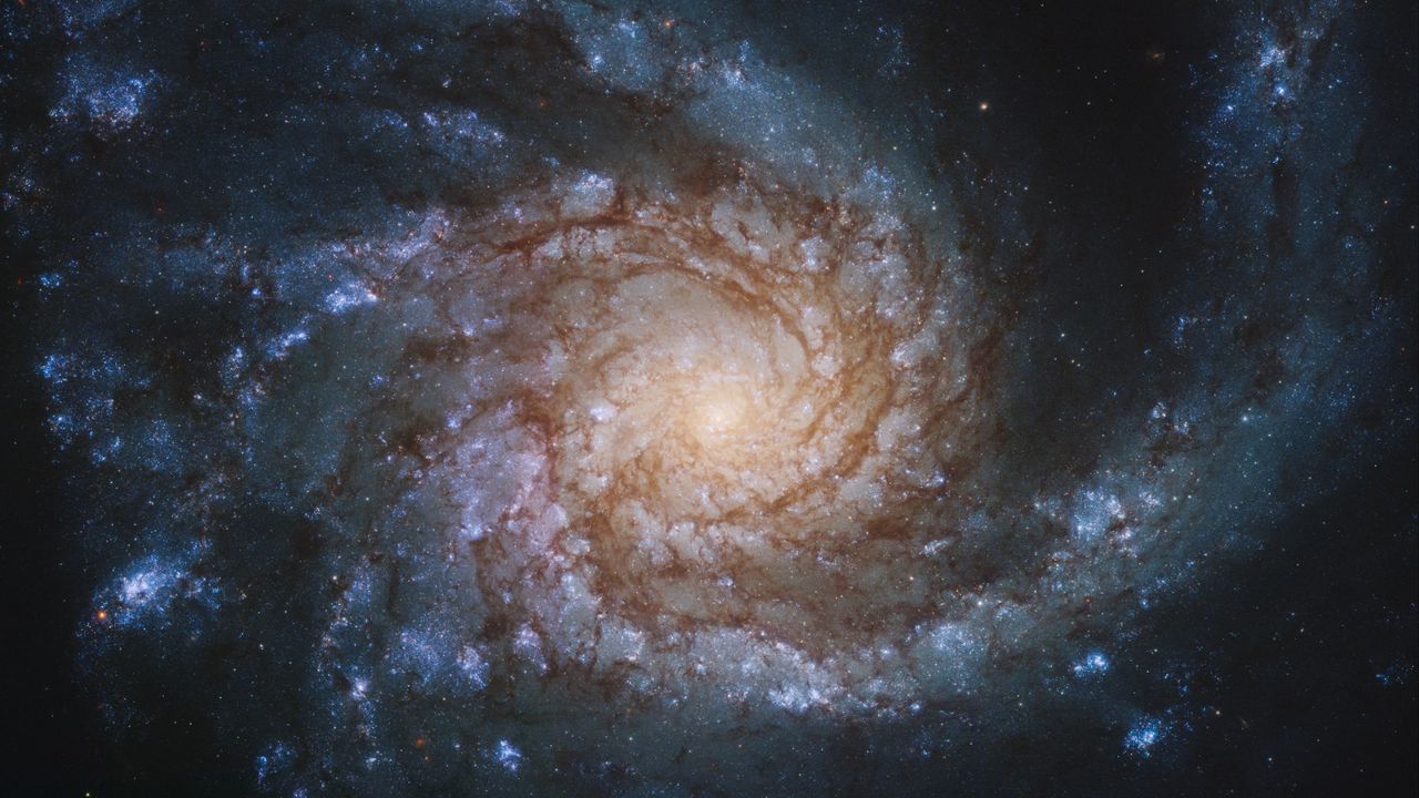 Обои ngc 4254, галактика, спираль, звезды, космос
