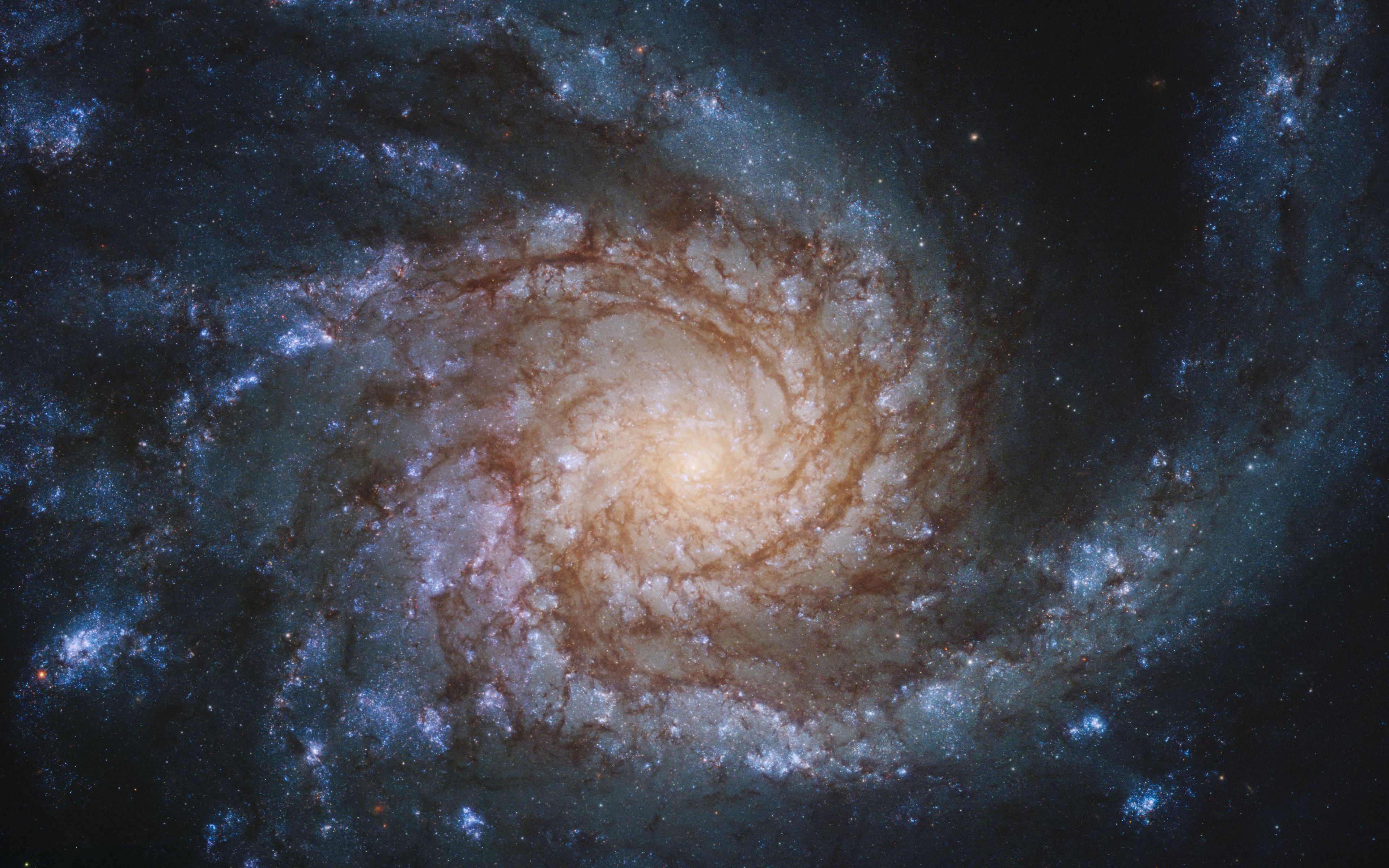 Спиральная Галактика NGC 1512