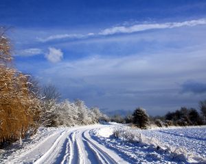 Превью обои нидерланды, дорога, деревья, небо, облака, снег, ясно