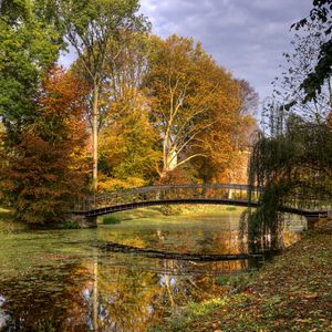 Превью обои нидерланды, мост, река, осень, деревья, листья