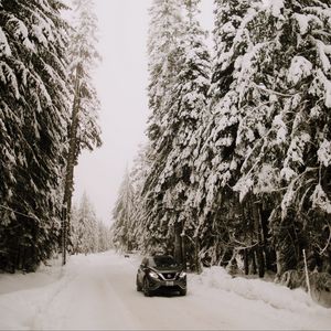Превью обои nissan, автомобиль, внедорожник, снег, деревья