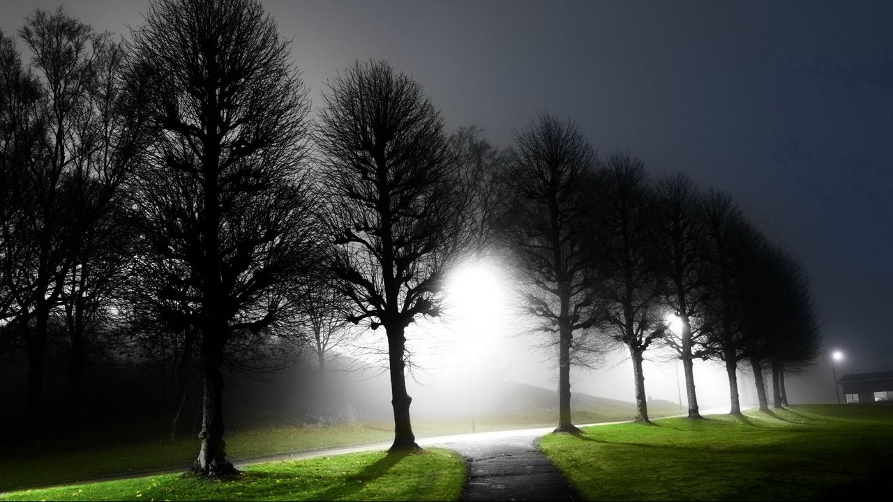 Обои ночь, деревья, аллея, свет