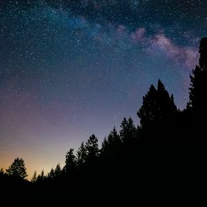 Превью обои ночь, деревья, звездное небо, звезды, ель