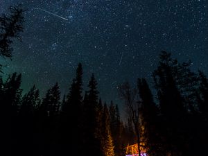 Превью обои ночь, костер, ель, звезды, звездное небо