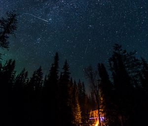 Превью обои ночь, костер, ель, звезды, звездное небо