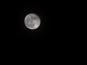 Превью обои ночь, луна, полнолуние, кратеры