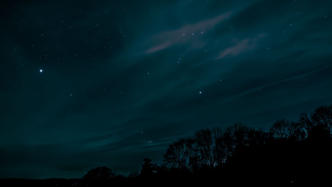Обои ночь, небо, звезды, деревья