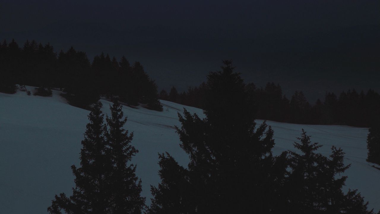 Обои ночь, пейзаж, зима, луна, деревья, темный
