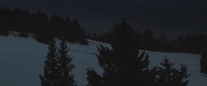 Превью обои ночь, пейзаж, зима, луна, деревья, темный