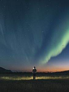 Превью обои ночь, силуэт, звездное небо, северное сияние, свет