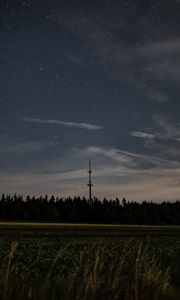 Превью обои ночь, звездное небо, звезды, деревья, трава