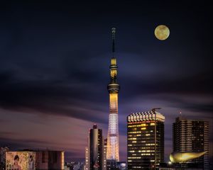 Превью обои ночной город, башня, луна