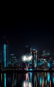 Превью обои ночной город, здания, фейерверк, вода, отражение