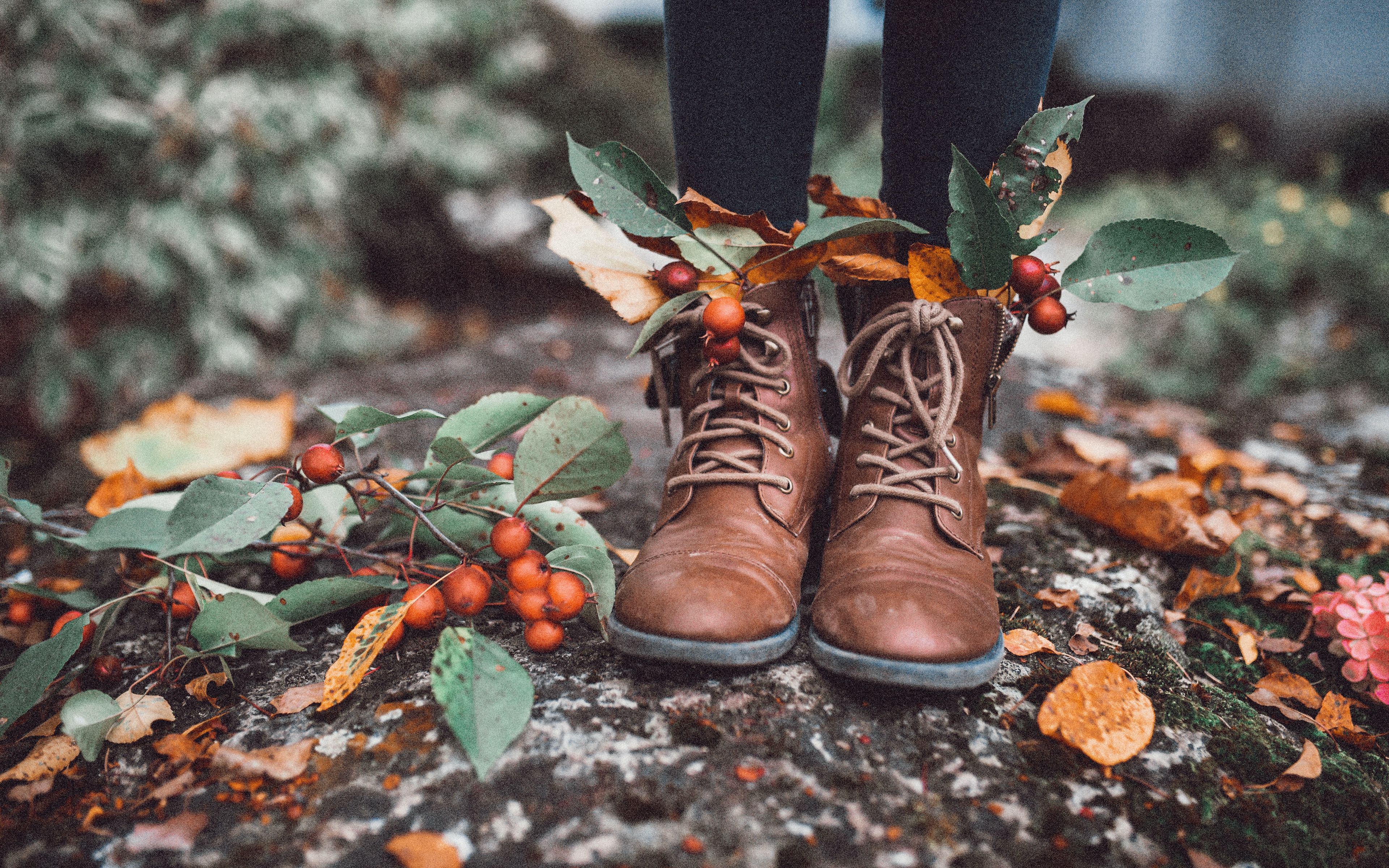 Обувь в осенних листьях