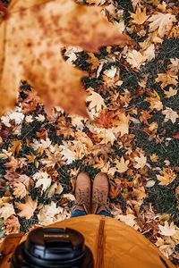 Превью обои ноги, ботинки, осень, листья