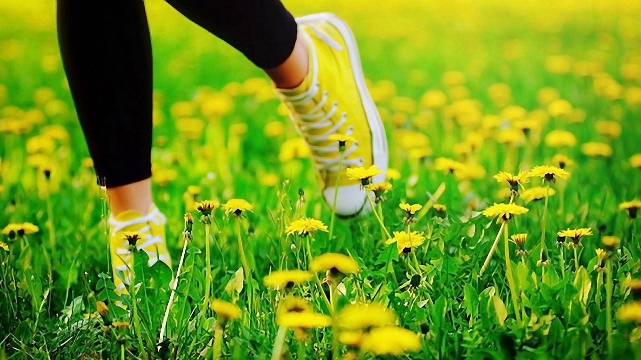 Обои ноги, кеды, трава, бежать, цветы, одуванчики