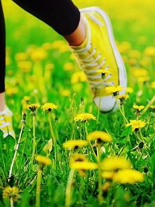 Превью обои ноги, кеды, трава, бежать, цветы, одуванчики
