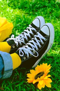 Превью обои ноги, кроссовки, кеды, лето, трава, желтый, цветок