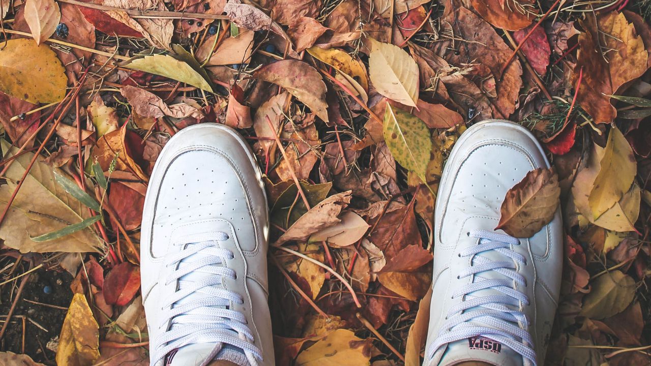 Обои ноги, кроссовки, листва, осень