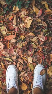 Превью обои ноги, кроссовки, листва, осень
