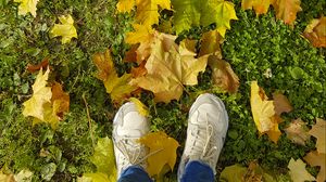 Превью обои ноги, кроссовки, осень, клен, листья, трава