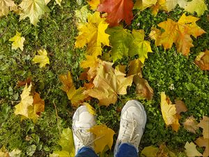 Превью обои ноги, кроссовки, осень, клен, листья, трава