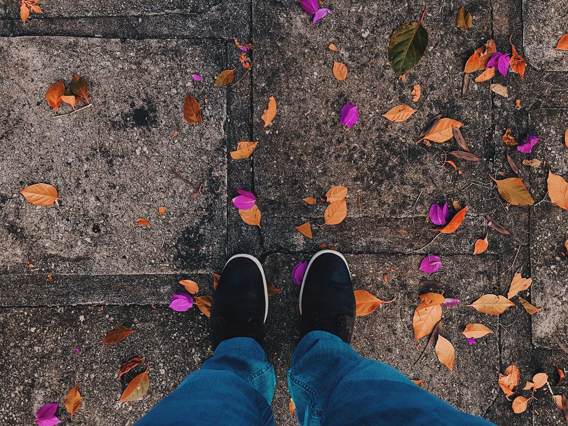 Осенние листья под ногами