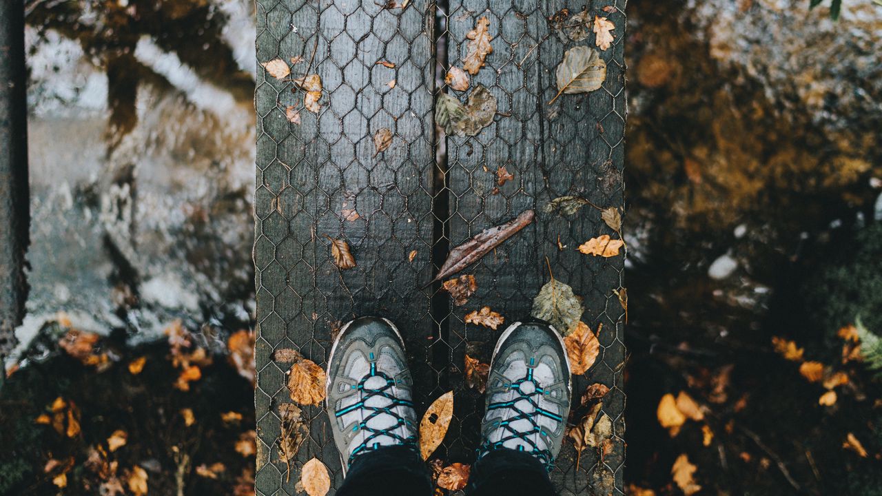 Обои ноги, осень, листва, дождь