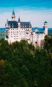 Превью обои нойшванштайн, замок, деревья, лес, архитектура