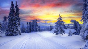 Превью обои норвегия, зима, лес, снег, деревья