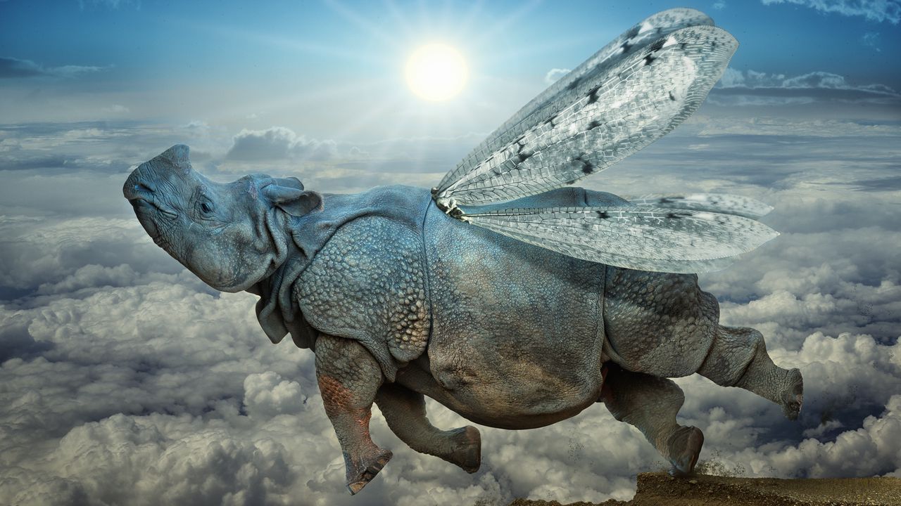Обои носорог, крылья, полёт, облака, икар