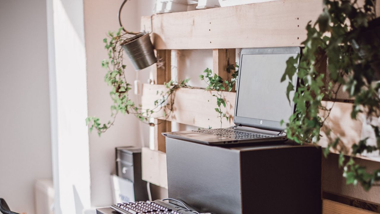 Обои ноутбук, клавиатура, рабочий стол, комнатные растения, комната