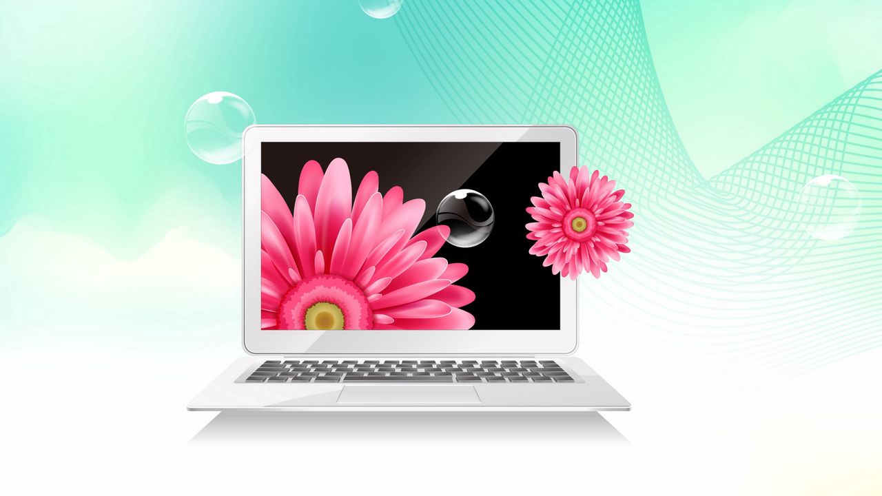 Обои ноутбук, цветы, пузыри, сетка, картинка