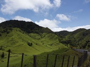 Превью обои новая зеландия, холм, горы, трава