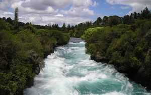 Превью обои новая зеландия, река, течение, деревья