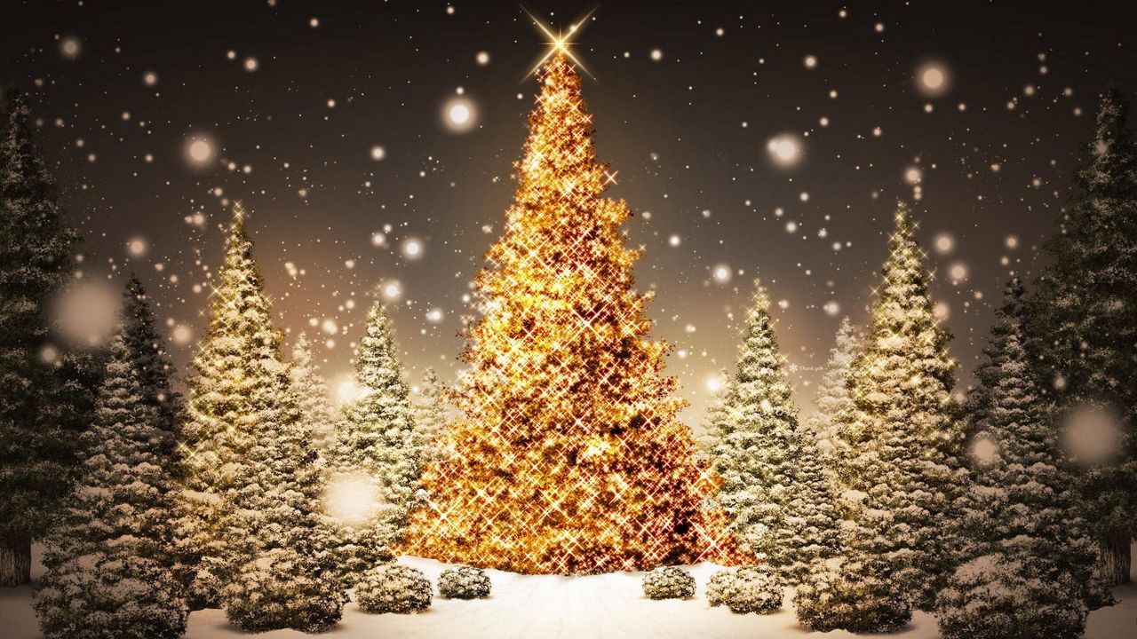 Обои новый год, рождество, елки, лес, открытка, снег, ночь, праздник