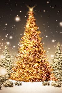Превью обои новый год, рождество, елки, лес, открытка, снег, ночь, праздник