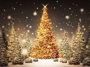 Превью обои новый год, рождество, елки, лес, открытка, снег, ночь, праздник