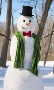 Превью обои новый год, рождество, зима, снеговик, шарф, деревья, снег