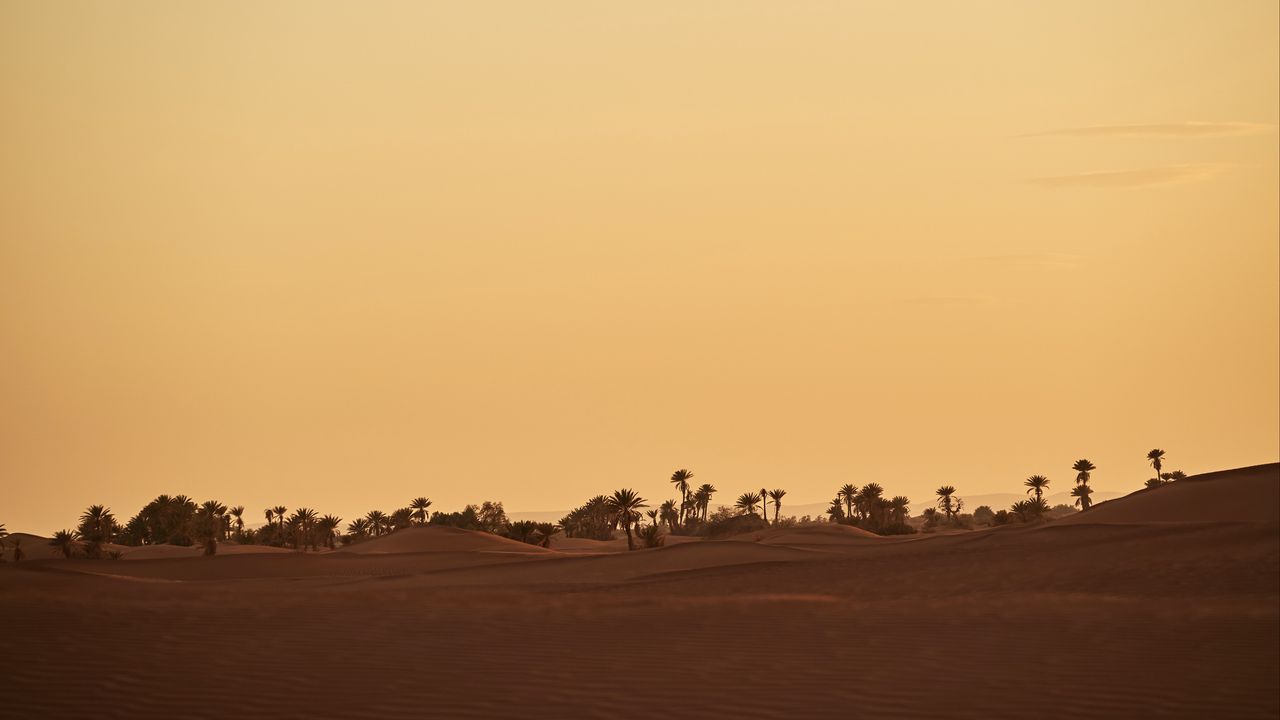 Обои оазис, пустыня, пальмы, песок