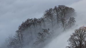 Превью обои облака, деревья, горы, пейзаж