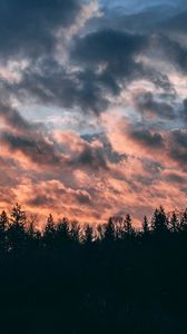Превью обои облака, деревья, небо, закат