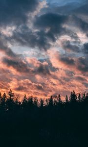 Превью обои облака, деревья, небо, закат