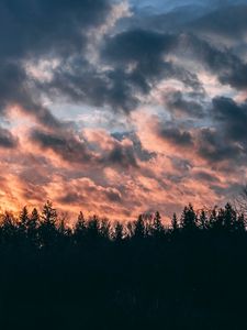Превью обои облака, деревья, небо, закат