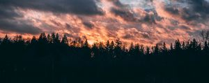 Превью обои облака, деревья, небо, закат