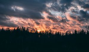 Превью обои облака, деревья, небо, закат
